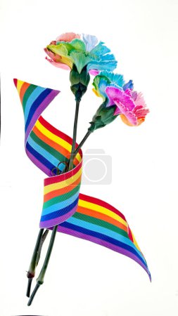 Téléchargez les photos : Deux oeillets vibrants et multicolores avec ruban arc-en-ciel et le mot amour isolé sur fond blanc, pour célébrer l'amour et l'inclusion lors de l'événement de fierté LGBTQ. - en image libre de droit