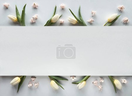 Photo for A white sheet of paper is surrounded by white spring flowers, fresh tulips. Spring background, copy-space on white paper - Royalty Free Image