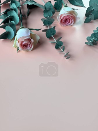 Photo for Pale pink roses and eucalyptus twigs, toned apricot colored background with copy-space, simple floral background - Royalty Free Image