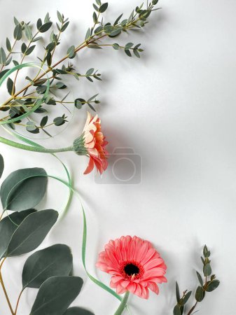 Téléchargez les photos : Fond blanc avec fleurs de gerbera roses, eucalyptus, diverses brindilles persistantes, vue aérienne. - en image libre de droit