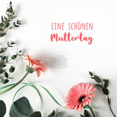 Téléchargez les photos : Texte Eine Shonen Muttertag signifie Passez une bonne fête des mères en allemand. Fond blanc avec fleurs de gerbera rose et eucalyptus. - en image libre de droit