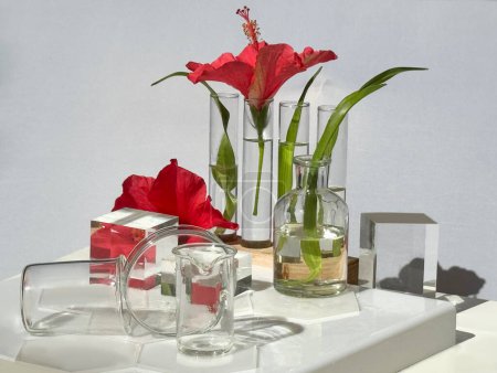Téléchargez les photos : Fleures d'hibiscus déformées et feuilles de fougère dans des pots en verre, béchers et flacons, composition florale abstraite. - en image libre de droit