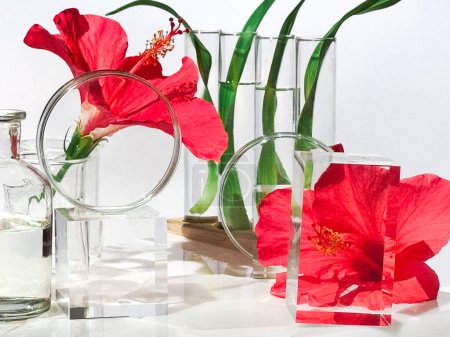 Diverses bouteilles en verre, plats, podiums et éprouvettes remplis de fleurs d'hibiscus rouges en fleurs et de feuilles de fougère.