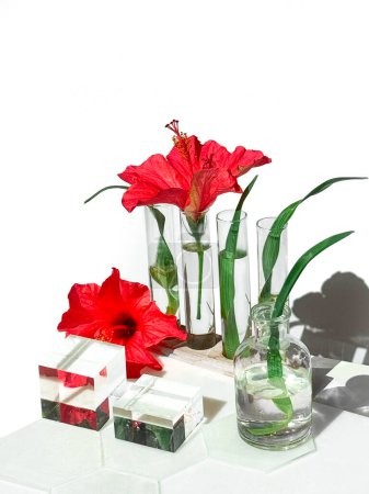 Ein weißer Tisch mit verschiedenen Glasflaschen, Tellern, Podesten und Reagenzgläsern gefüllt mit einer Auswahl an roten Hibiskusblüten und Farnblättern.