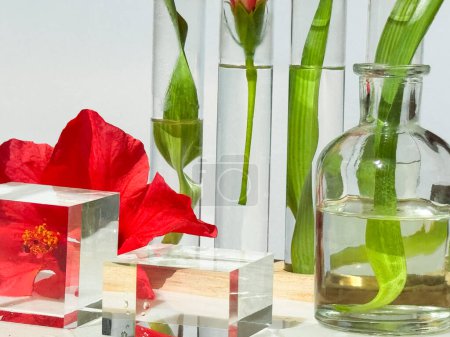 Drei Glasflaschen, Schüsseln, Podeste und Reagenzgläser gefüllt mit roten Hibiskusblüten und Farnblättern auf einem Tisch.