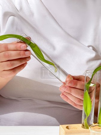 Scientist Examining Plant Extracts in Laboratory, Analysis of Green Botanical Specimens.
