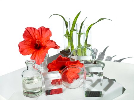 Una mesa blanca está adornada con botellas de vidrio, platos, podios y tubos de ensayo llenos de flores de hibisco rojo y hojas de helecho, creando una exhibición hermosa y vibrante.
