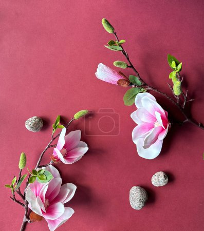 Photo for Elegant Magnolia Branches and Stones on Vibrant Red Background. - Royalty Free Image