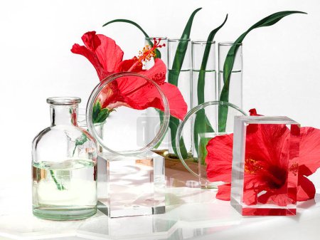 Bouteilles en verre, plats, podiums et éprouvettes remplis de fleurs d'hibiscus rouges et de feuilles de fougère, créant un affichage magnifique et vibrant.
