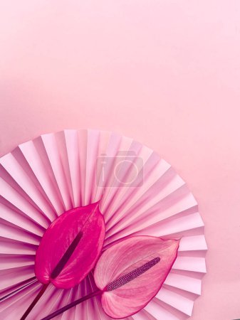Photo for Elegant arrangement of vibrant pink anthurium flowers on a pleated paper fan against a soft pink background. ideal for design projects, print materials, or posters. - Royalty Free Image