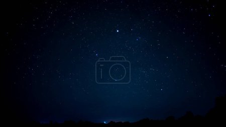 Photo for Blue starry sky with leaves from trees. - Royalty Free Image