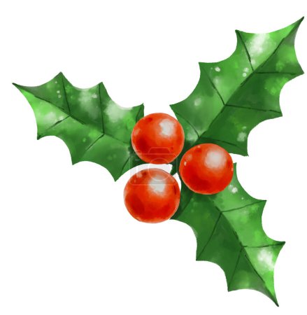 Téléchargez les photos : Mistletoe holly leaf and berry Christmas holiday season decorative element watercolor painting illustration art - en image libre de droit