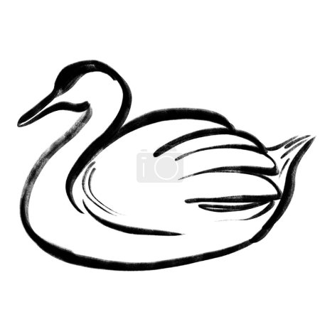 Foto de Blanco cisne ganso caligrafía negro tinta cepillo dibujo ilustración arte - Imagen libre de derechos