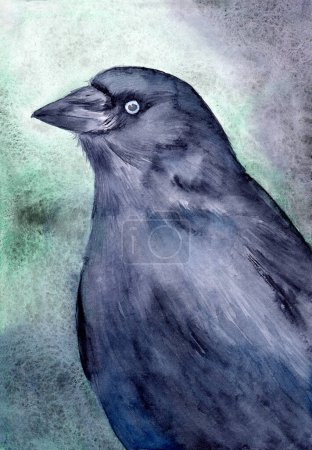 Téléchargez les photos : Illustration aquarelle d'un oiseau jackdaw noir sur fond vert - en image libre de droit
