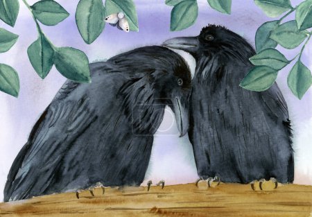 Téléchargez les photos : Illustration aquarelle de deux corbeaux ou corbeaux noirs s'évanouissant sur une branche d'arbre - en image libre de droit