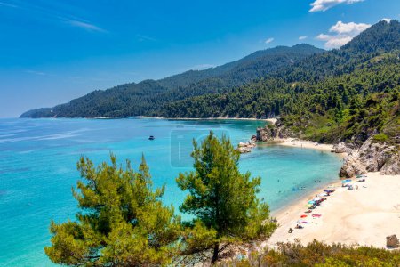 Vista sobre la hermosa playa de arena de Fava cerca de Vourvourou, la península griega de Sithonia, Chalkidiki (Halkidiki), Grecia, Europa. Vacaciones de verano en el Mar Mediterráneo Egeo.