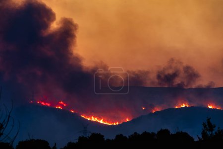 Photo for Alexandroupoli - Greece, August 21, 2023 Forest fires in the prefecture of Evros in northern Greece in the biggest fire ever in Europe - Royalty Free Image