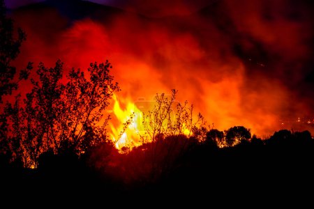 Foto de Alexandroupoli - Grecia, 21 de agosto de 2023 Incendios forestales en la prefectura de Evros en el norte de Grecia en el incendio más grande de Europa - Imagen libre de derechos