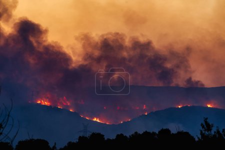 Photo for Alexandroupoli - Greece, August 21, 2023 Forest fires in the prefecture of Evros in northern Greece in the biggest fire ever in Europe - Royalty Free Image