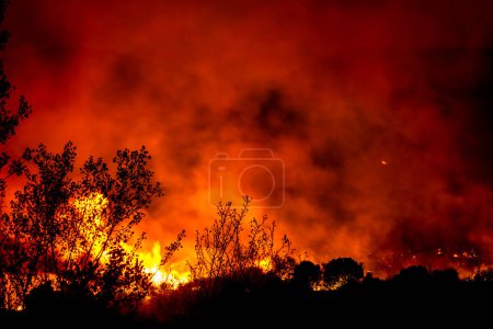 Téléchargez les photos : Alexandroupoli - Grèce, 21 août 2023 Incendies de forêt dans la préfecture d'Evros dans le nord de la Grèce dans le plus grand incendie jamais en Europe - en image libre de droit