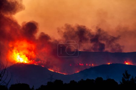 Téléchargez les photos : Alexandroupoli - Grèce, 21 août 2023 Incendies de forêt dans la préfecture d'Evros dans le nord de la Grèce dans le plus grand incendie jamais en Europe - en image libre de droit