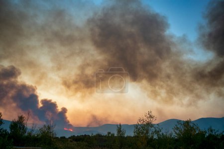 Photo for Forest fires in the prefecture of Evros in northern Greece in the biggest fire ever in Europe on August 23,  2023 - Royalty Free Image