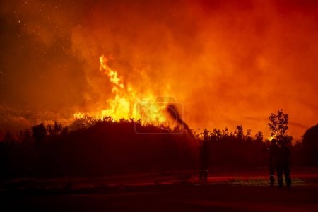 Téléchargez les photos : Incendies de forêt dans la préfecture d'Evros dans le nord de la Grèce lors du plus grand incendie jamais survenu en Europe le 23 août 2023 - en image libre de droit