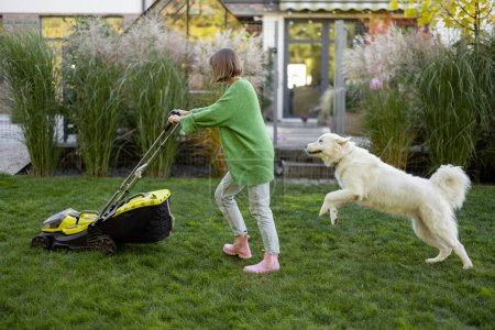 Verspielter Hund spielt mit seinem Besitzer, der mit dem Rasenmäher den Rasen mäht, und verbringt die Freizeit fröhlich zusammen auf dem Hinterhof