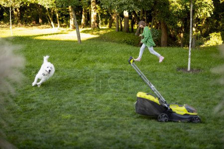 Foto de Mujer joven juega con su perro blanco adorable, pasar el tiempo libre con la mascota en el patio trasero en la naturaleza. Cortar la basura con una cortadora de césped - Imagen libre de derechos