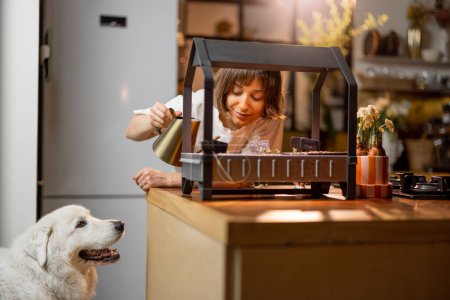 Téléchargez les photos : Young woman watering sprouts, growing greens under artificial lighting on kitchen. Woman spending leisure time with her dog happily, having a hobby at home - en image libre de droit