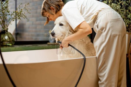 Téléchargez les photos : Jeune femme laver son chien blanc mignon dans la baignoire à la maison. Concept de soins aux animaux, procédures de spa pour animaux de compagnie et amitié - en image libre de droit