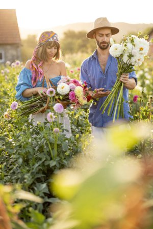 Foto de Man and a woman pick up dahlia flowers while working at rural flower farm on sunset. Young farmers having small business of growing dahlias in summer garden - Imagen libre de derechos