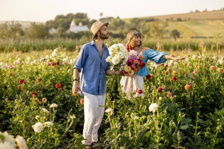 Photo for Man and a woman pick up dahlia flowers while working at rural flower farm on sunset. Young farmers having small business of growing dahlias in summer garden - Royalty Free Image
