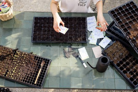 Foto de Jardinero sembrando semillas en bandejas de plántulas, mientras está sentado junto a la mesa al aire libre, de cerca - Imagen libre de derechos