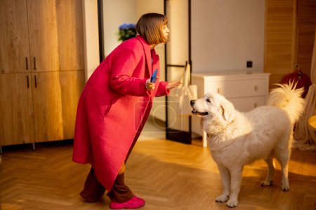 Téléchargez les photos : Femme joue avec son énorme chien blanc avant de sortir avec elle pour une promenade. temps de loisirs heureux avec animaux concept - en image libre de droit