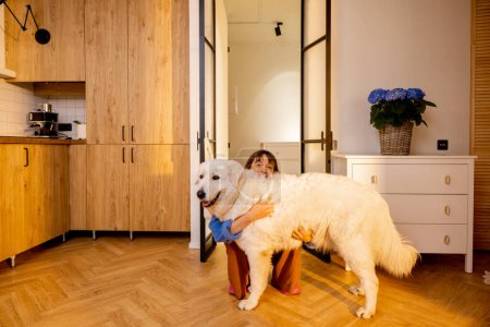Photo for Portrait of young woman with her huge white dog, hugging together at home. Concept of domestic lifestyle and friendship with pets. Maremma shepherd dog - Royalty Free Image