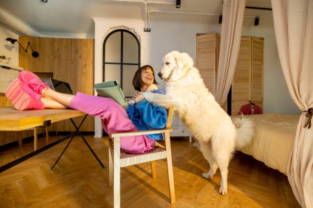 Téléchargez les photos : Femme joue avec son chien tout en étant assis détendu à la table pendant le travail à la maison. Travail de la maison et des loisirs avec animaux concept - en image libre de droit