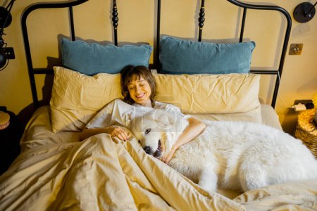 Téléchargez les photos : Femme dort avec son chien énorme et mignon dans un lit confortable, vue d'en haut. Concept de confort à la maison et l'amour avec les animaux de compagnie - en image libre de droit