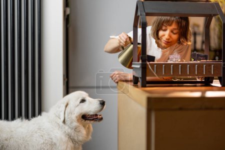 Photo for Young woman watering sprouts, growing greens under artificial lighting on kitchen. Woman spending leisure time with her dog happily, having a hobby at home - Royalty Free Image