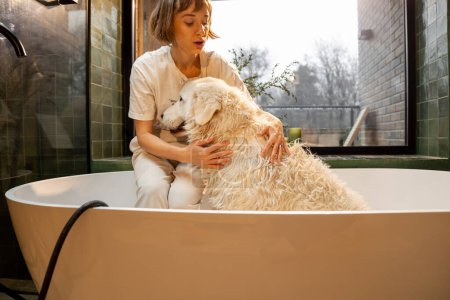 Photo for Young woman washing her cute white dog in bathtub at home. Concept of animal care, spa procedures for pets and friendship - Royalty Free Image