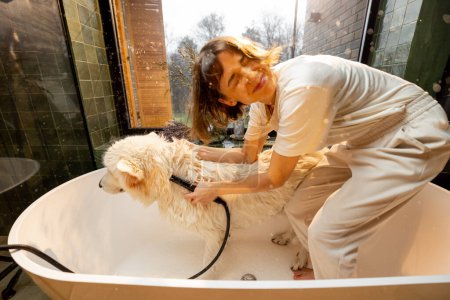 Téléchargez les photos : Femme heureuse lavant son chien dans la baignoire, chien secouant l'eau. Concept de soins des animaux, procédures de spa pour animaux de compagnie et plaisir - en image libre de droit