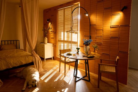 Photo for Sunny and cozy studio apartment with the suns rays passing by the shutters. Dog lying on the floor. Interior made in warm tones with natural materials - Royalty Free Image