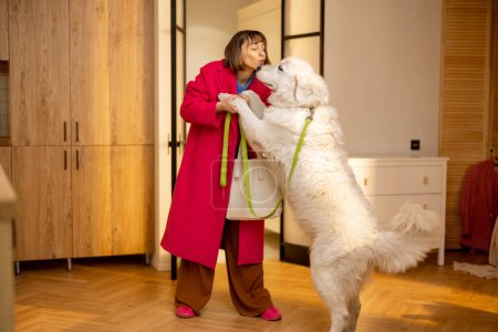 Téléchargez les photos : Femme joue avec son énorme chien blanc avant de sortir avec elle pour une promenade. temps de loisirs heureux avec animaux concept - en image libre de droit