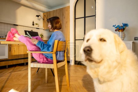 Téléchargez les photos : Jeune femme travaille sur tablette en ligne tout en étant assis détendu par la table dans une atmosphère confortable à la maison, son chien devant. Concept de bureau à domicile et de télétravail - en image libre de droit