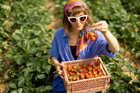 Photo for Young woman enjoying freshly picked up strawberries on farmland. Concept of organic and local growing of berries - Royalty Free Image
