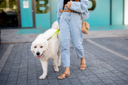 Foto de Mujer que va con su lindo perro blanco fuera de un supermercado, llevando botellas de vino delante de las puertas de una tienda. Concepto de firendship con mascotas y estilo de vida - Imagen libre de derechos