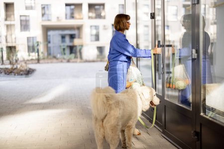 Téléchargez les photos : Femme avec son chien entrant dans l'immeuble d'habitation portant un sac en filet avec une épicerie tout en rentrant à la maison après une promenade avec son animal de compagnie - en image libre de droit