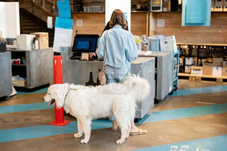 Téléchargez les photos : Femme avec son chien blanc mignon visitant le supermarché, payant sur une caisse enregistreuse tandis que son animal de compagnie attend sur le sol - en image libre de droit