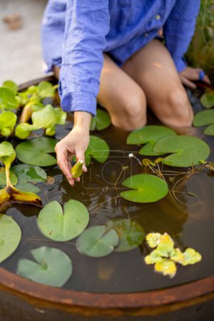 Téléchargez les photos : Portrait d'une jeune femme mignonne assise sur la fontaine les pieds dans l'eau, profitant de l'heure d'été et des fleurs dans le jardin, gros plan sur nénuphar flottant - en image libre de droit