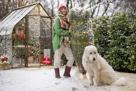 Photo for Portrait of a woman standing with wrapped Christmas tree and her dog nearby at beautifully decorated yard of her house. Concept of happy winter holidays and magic - Royalty Free Image